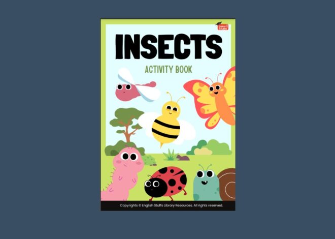 Insects Activity book
