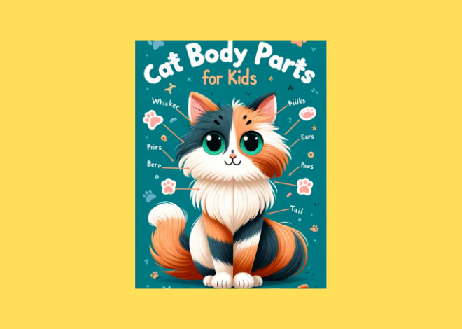 Cat Body Parts Vocabulary With Exercice